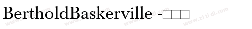 BertholdBaskerville 字体转换 BertholdBaskerville 字体转换